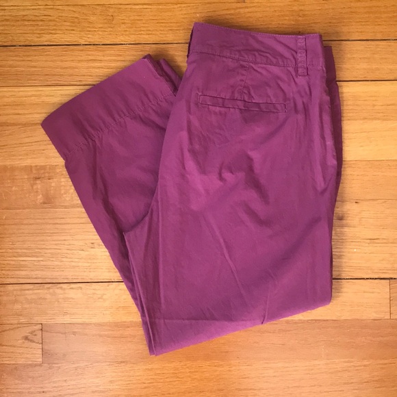 Ann Taylor LOFT Plum Color Cotton Capri Pants - Picture 5 of 8